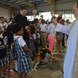 St. Jerome Catholic School Photo #7 - St. Jerome families bring their pets annually for Blessing of the Pets. Here is Fr. Dan blessing some of our fur-babies! Fr. Victor was even kind enough to bring Fr. Dan's buddies.