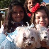 St. Bernard Of Clairvaux School Photo #4 - Blessing of the Pets