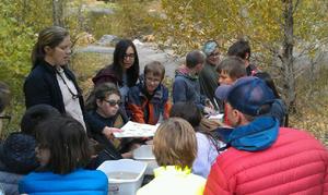 Realms Of Inquiry Photo