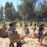 Summit Christian Academy Photo #8 - Service plays a crucial role in a Christ-centered education. Our students participate in several service projects throughout the year. This is our students at a Work Day at our local Wheeler Farm helping to bail some hay.