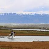 Wasatch Academy Photo #7 - Experienced riders and curious newcomers alike will find the perfect degree of training and guidance tailored to their interests and needs in the Wasatch Academy equestrian program.