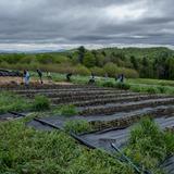 The Mountain School of Milton Academy Photo #14