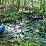 The Mountain School of Milton Academy Photo #3