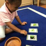 Hampton Roads International Montessori School Photo #4 - Give your child the gift of a Montessori education. Start a love of learning. #HRIMS #HamptonRoadsInternationalMontessoriSchool