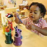 Montessori School of Northern Virginia Photo