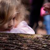 Sabot School Photo #4 - A kindergartener closely studying a snail in the forest.