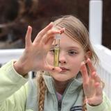 Saint George's School Photo - 4th grade students completing water testing samples in the Little Spokane River that runs through campus. Saint George's School Photo - 4th grade students completing water testing samples in the Little Spokane River that runs through campus.