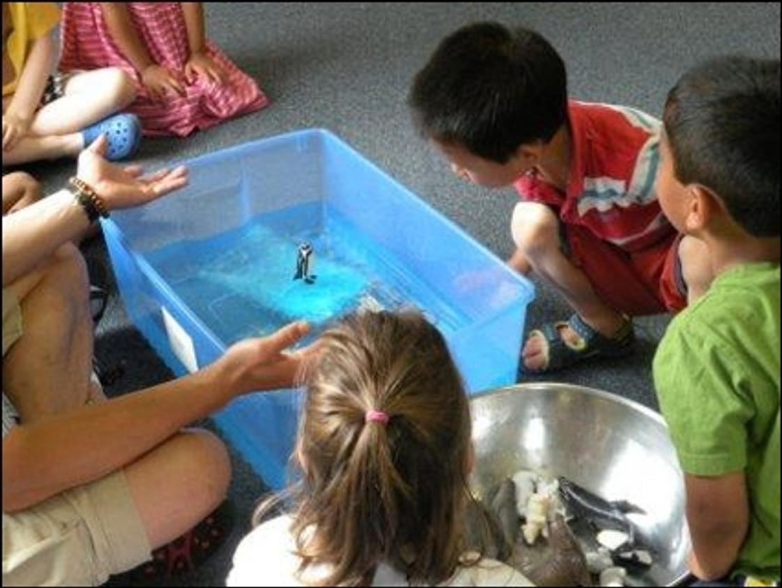 TLC Montessori Photo #1 - Science