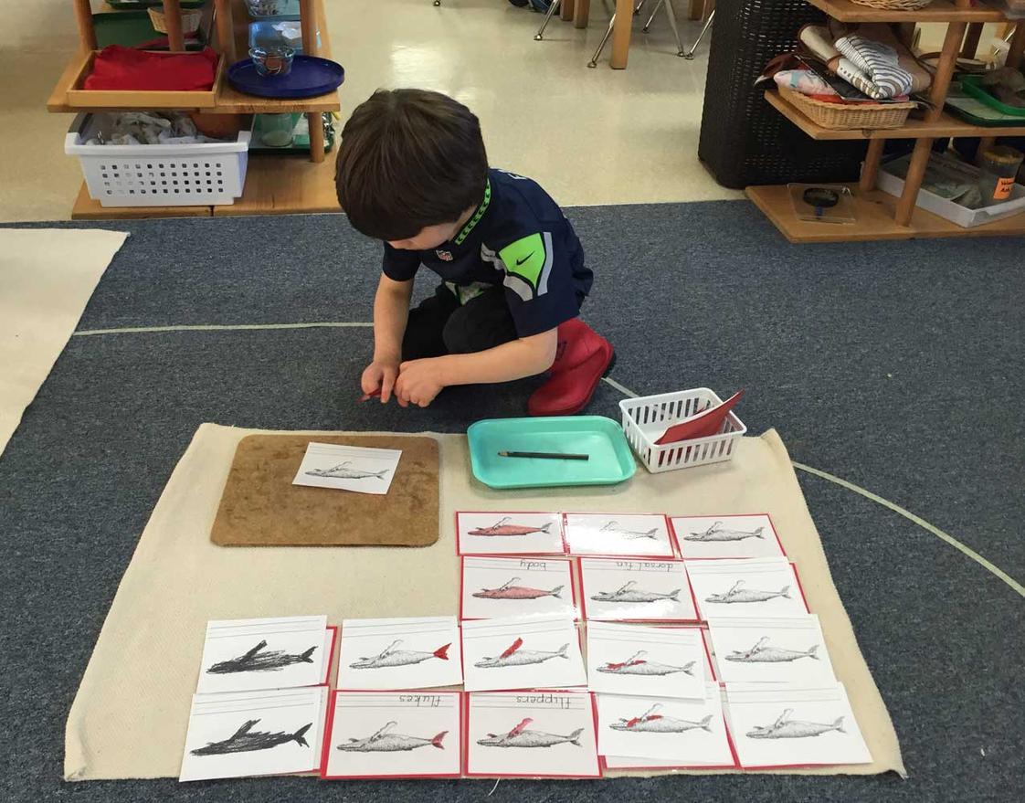 Woodinville Montessori School | Woodinville Campus (Early Childhood only) Photo #1 - Our Montessori Early Childhood classrooms allow the child to learn in a place of beauty, order and rich opportunity. The emphasis on beauty is out of respect for the child's developing aesthetic sense. Attention to orderly preparation of the environment minimizes the frustration that occurs when things aren't ready to use or when an adult needs to help.