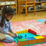 Milwaukee Montessori School Photo #19 - Refining visual discrimination in Children's House