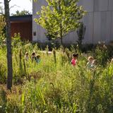 Milwaukee Montessori School Photo #14 - Toddler walk through the prairie