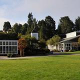 Mount Tamalpais School Photo - Mount Tamalpais School is a co-educational day school enrolling children in Kindergarten through Grade 8. The school is dedicated to the active pursuit of knowledge, integrity, and fairness.