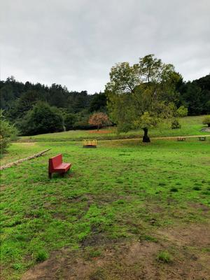 Orchard School Photo