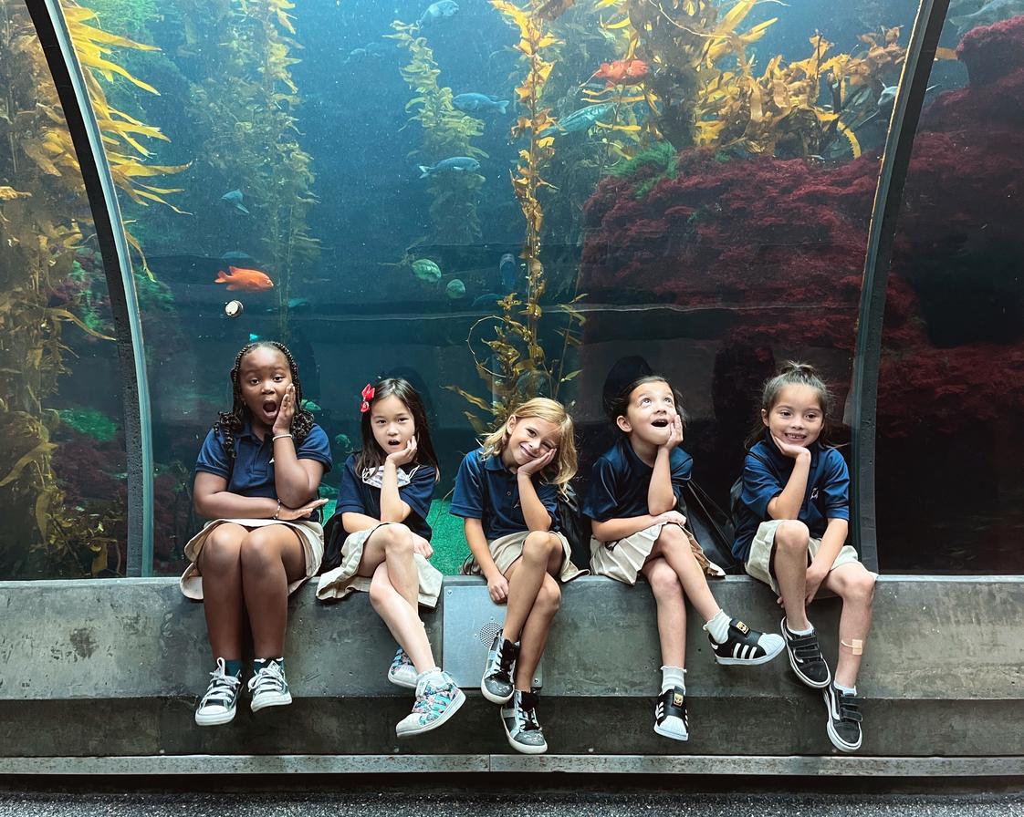 Pearl Preparatory School Photo #1 - Pearl Prep uses a hands-on approach to education. All students go on monthly field trips in coordination with the classroom curriculum.