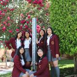 Ramona Convent Secondary School Photo - Our 19+ acre campus is more like a college than a high school. Expansive facilities support a broad and engaging curriculum.