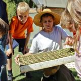 Sacramento Waldorf School Photo #6 - Sacramento Waldorf School`s bio-dynamic farm is an integral, hands-on classroom along the American River. Students learn to care for animals and plant and harvest crops.
