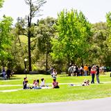 San Domenico School Photo #13
