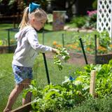 Hickory Hill Academy Photo #3 - Elementary student harvesting radishes from the large garden area on campus.