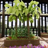 Hickory Hill Academy Photo #5 - Brand new indoor nature conservancy for mindfulness and indoor nature studies inside our new K-8th grade building.