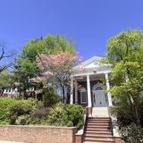 School Of Saint Elizabeth Photo