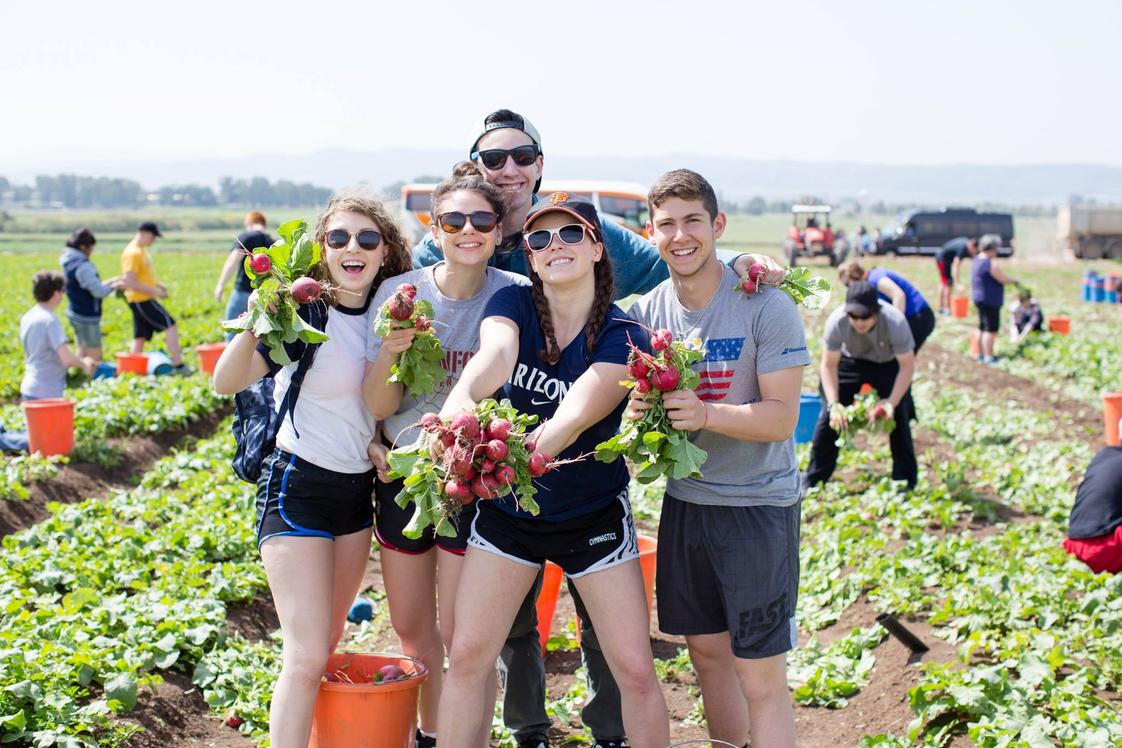 The Kehillah School Photo - Every spring, each grade takes a unique educational trip. The four-year grade-level trip curriculum builds on our academic program through direct experience and exposure to diverse communities with an emphasis on students taking responsibility for their own learning. -photo was taken at the Leket farm in Israel.
