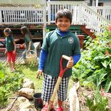 Waimea Country School Photo #4 - Our school garden -- Na Keiki Aloha Aina (for the children who love the land) -- is at the heart of our program