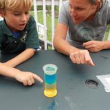 Waimea Country School Photo - Hands-on Science in our K/1st multiage class