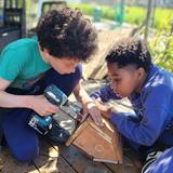Crestmont School Photo #5 - Our upper grade students regularly work on special carpentry projects. Here, our middle school students collaborated to design and build birdhouses with recycled wood.