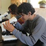 Tara Performing Arts High School Photo #3 - Our students explore the natural world firsthand, examining real animal specimens in the lab and the field.