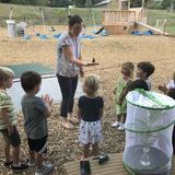 St. John Neumann Academy Photo - Preschool Students learn about the life cycle of Monarch Butterflies