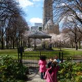 Riverside Church Weekday School Photo #2 - The Riverside Church Weekday School is surrounded by beauty, history and magnificent architecture.