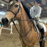 The School For Young Performers Photo #6 - SYP equestrian student-athlete modeling the new SYP hoodies