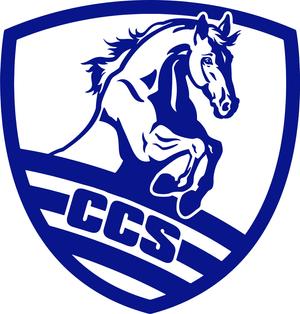 Christian Community Schools Photo