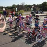 Noahs Ark Preschool Photo #6 - For 17 yrs, every March, we have ridden laps, to collect money from family & friends, for the St Jude Children's Hospital in TN. We have collected over $60,000 in those 17 yrs. We are so proud of our little school for that amazing feat!