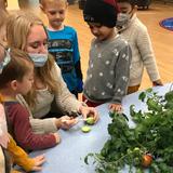 Calvary Lutheran Preschool & Kindergarten Photo #4 - Students are guided through experiments and explorative lessons!