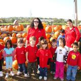 All Day Learning Centers Photo #2 - Norz Hill Farm, Fall 2010