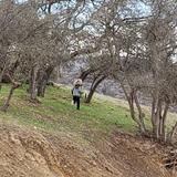 Valley Waldorf City School Photo #2 - A grades student enjoys nature during a field trip with his class teacher in 2019.