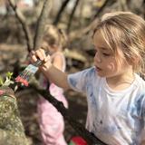 Apple Orchard School Photo #17 - At Apple Orchard School in Brookline, learners strengthen their arm and hand muscles by painting trees.