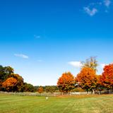 Apple Orchard School Photo #4