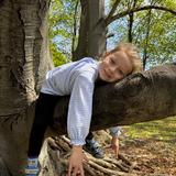 Apple Orchard School Photo #25 - At Apple Orchard School in Brookline, climbing trees allows for healthy risk taking.