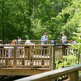 St. George's Independent School Photo #7 - Whenever possible, teachers move classes outside to take advantage of incredible outdoor spaces around our campuses.