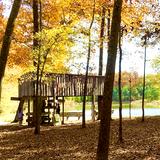 St. George's Independent School Photo #2 - We have more than 250 acres of beautiful woods and wetlands we call home. (View of the observation deck by Bulldog Pond)