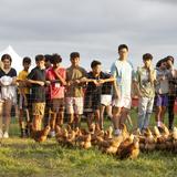 The Lawrenceville School Photo #5 - The Big Red Farm consists of 4 acres of tilled land, 20 acres of pasture, 3 greenhouses, and 1 solar farm.