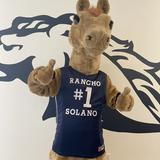 Rancho Solano Preparatory School - Middle and Upper School Photo #14 - Blaze, our Mustang school mascot, can be found at our games and events!