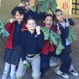 Buckner Fanning School At Mission Springs Photo #5 - Gardening