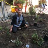 Cambrian Academy Photo #2 - Our AP Environmental Science class begins using their habitat restoration grant funds with a small-scale sample in the school courtyard.