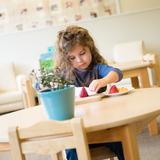 Mission Montessori Photo - In a Montessori classroom, you will likely see a child doing something such as cutting fruit, washing dishes or watering the classroom plants. This is not pretend she is really participating in real work" and is part of the classroom community.