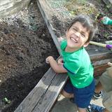 Clear Lake KinderCare Photo #1 - Fun in the sun while planting our vegetable garden.