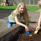 Clear Lake KinderCare Photo #3 - Having fun raking the soil