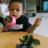 Matteson KinderCare Photo #9 - Baby exploring with items from the sensory basket.